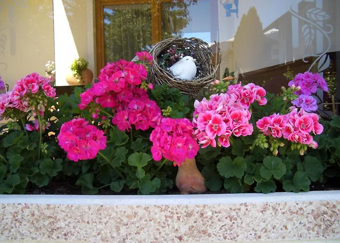 Gaestehaus Burgi فغن