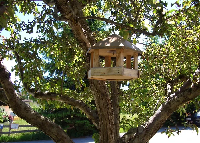 بيت ضيافة Gaestehaus Burgi