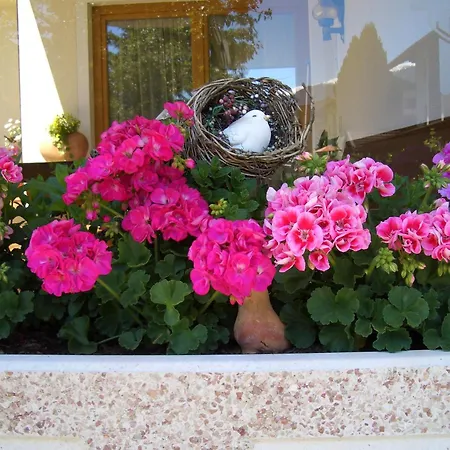 Gaestehaus Burgi Fügen