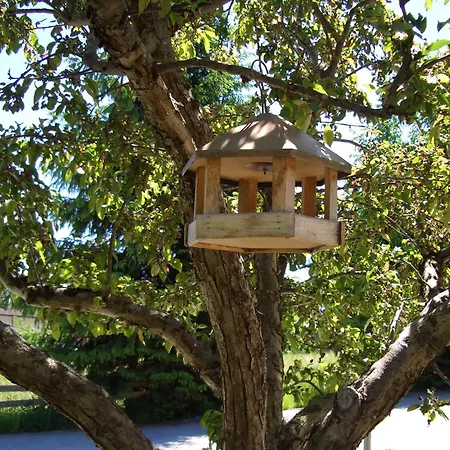 Konukevi Gaestehaus Burgi